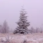 Au Val De Belvâ Appartement *