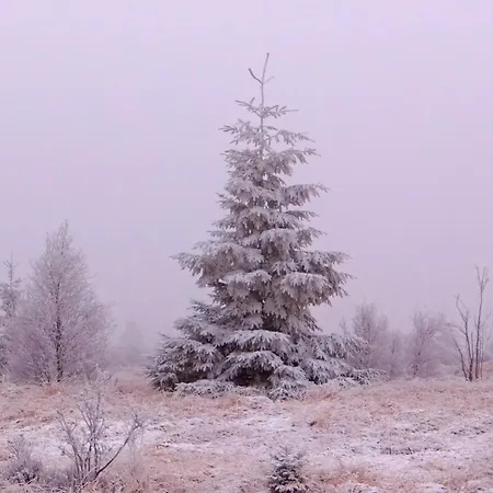 Au Val De Belva Apartment *