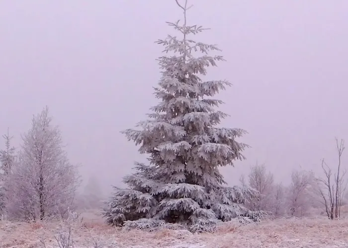 Au Val De Belva Appartement *