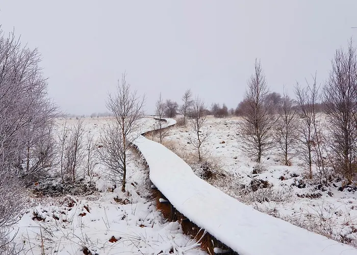 Au Val De Belva Appartement Malmedy